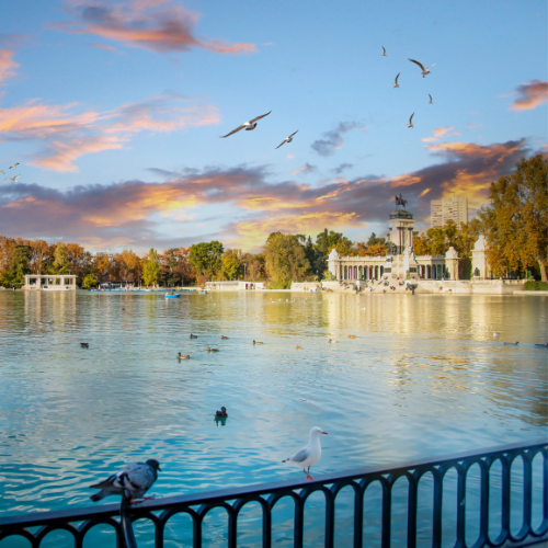 El lago de El Retiro, con el Monumento a Alfonso XII de fondo