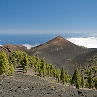 LA PALMA