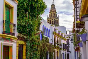 shutterstock_2081560597