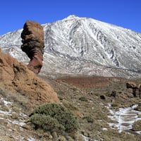 TENERIFE SUR