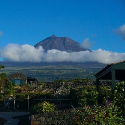 Pico